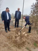 ریاست دانشکده آقای دکتر پور جوان چند اصله نهال در محوطه دانشکده غرس کرد. 4