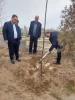 ریاست دانشکده آقای دکتر پور جوان چند اصله نهال در محوطه دانشکده غرس کرد. 4