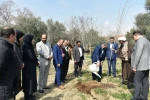 ‌به مناسبت هفته منابع طبیعی و سنت حسنه درختکاری با حضور رئیس دانشگاه ملی مهارت صورت گرفت:
آئین درختکاری و کاشت نهال در محوطه دانشکده دختران دکتر شریعتی تهران
 2
