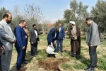‌به مناسبت هفته منابع طبیعی و سنت حسنه درختکاری با حضور رئیس دانشگاه ملی مهارت صورت گرفت:
آئین درختکاری و کاشت نهال در محوطه دانشکده دختران دکتر شریعتی تهران
 2