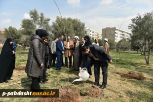 ‌به مناسبت هفته منابع طبیعی و سنت حسنه درختکاری با حضور رئیس دانشگاه ملی مهارت صورت گرفت:
آئین درختکاری و کاشت نهال در محوطه دانشکده دختران دکتر شریعتی تهران
 2