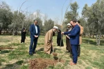 ‌به مناسبت هفته منابع طبیعی و سنت حسنه درختکاری با حضور رئیس دانشگاه ملی مهارت صورت گرفت:
آئین درختکاری و کاشت نهال در محوطه دانشکده دختران دکتر شریعتی تهران
 2