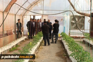 افتتاح کلینیک تخصصی گیاه پزشکی و کلنگ زنی سوله کارگاه ماشین آلات کشاورزی دانشکده ملی مهارت کشاورزی پاکدشت با حضور مسئولین محترم دانشگاه ملی مهارت و شهرستان پاکدشت.  10