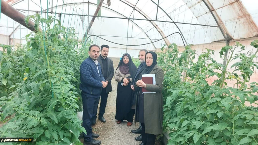 هیات نظارت وارزیابی استان تهران به ریاست سرکار خانم حجازی از دانشکده ملی مهارت کشاورزی پاکدشت بازدید بعمل آوردند 10