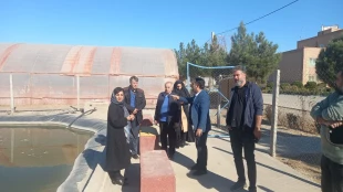 توسعه همکاری وراه اندازی رشته های کاردانی ناپیوسته پرورش وتولید ماهیان خاویاری در دانشکده ملی مهارت کشاورزی پاکدشت 3