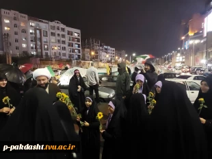 اهدای  ۵۰۰ شاخه گل آفتابگران  در بین حاضرین در تجمعات شبانه 2